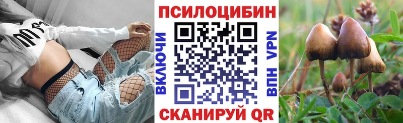 Галлюциногенные грибы Psilocybine cubensis  Купить где  Кропоткин 